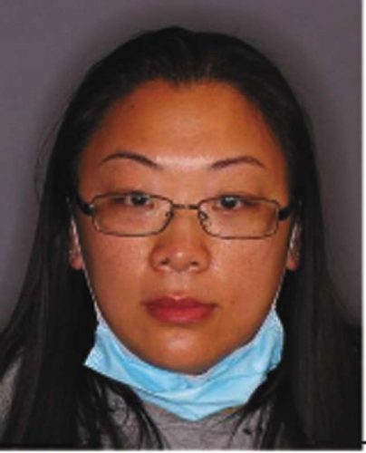 Woman allegedly defrauds DSS for $65K | News, Sports, Jobs - Vimarsana News